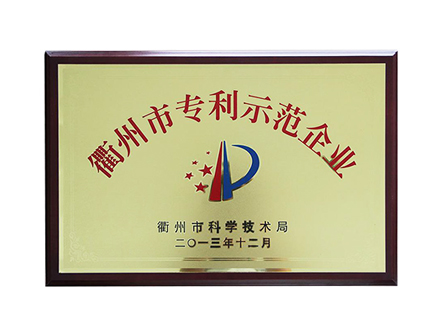 衢州市专利示范企业